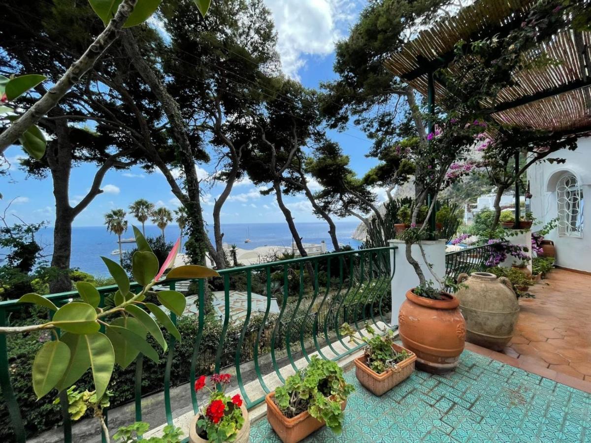 Terrazza Mare Marina Piccola Appartamento
